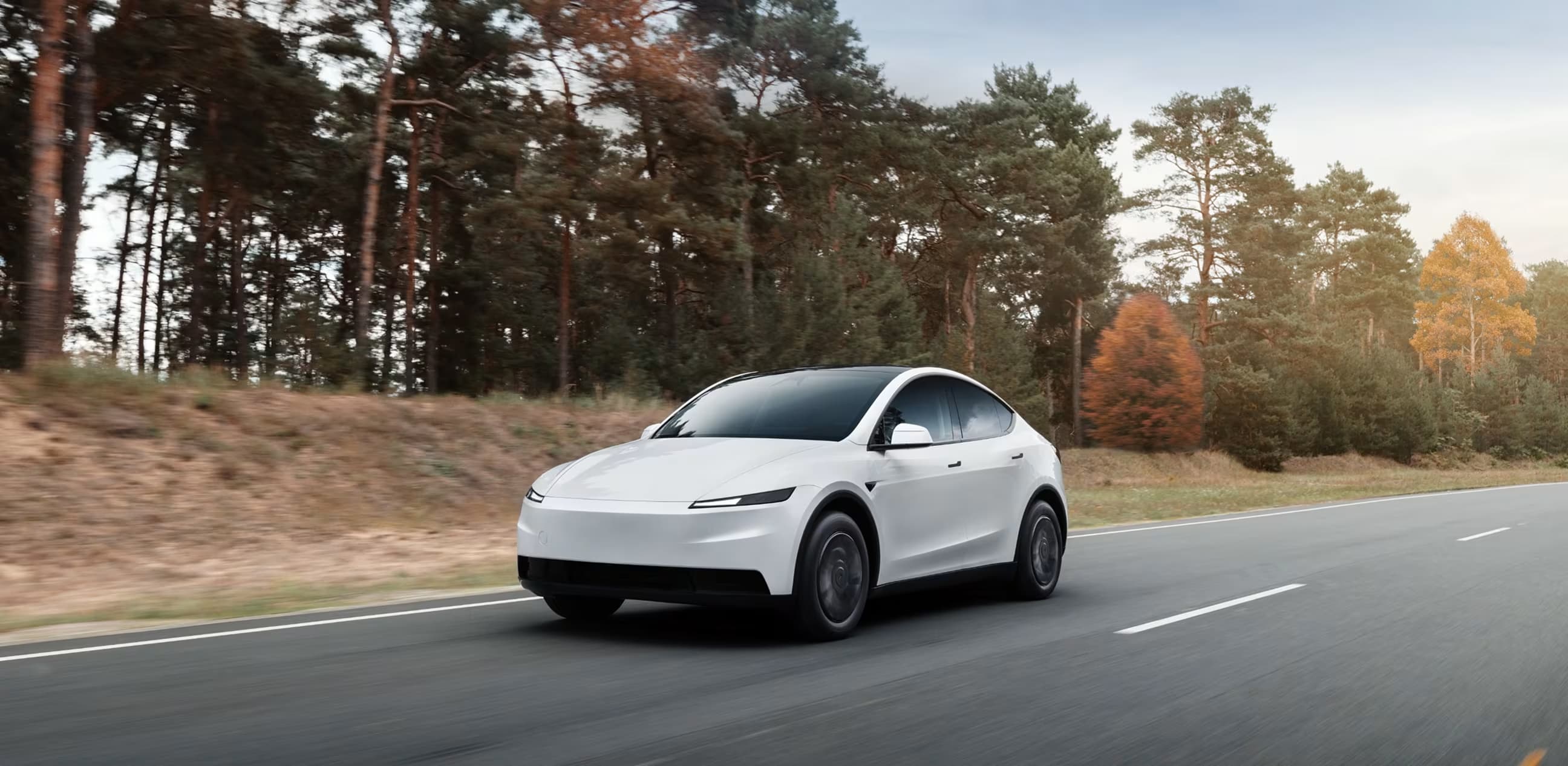 Model Y